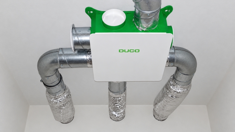Duco